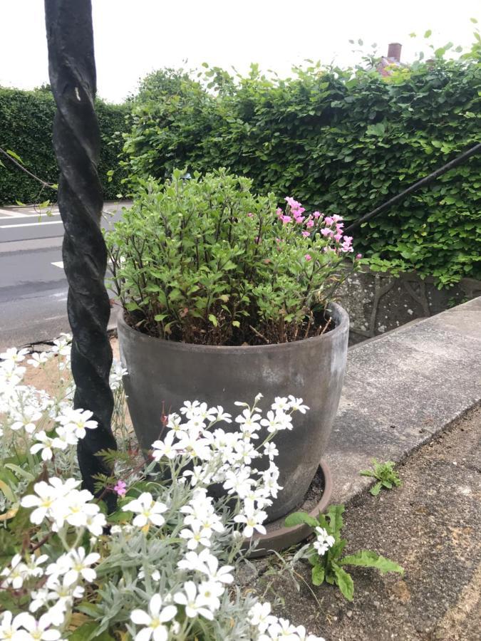 Bnb Thuroe Svendborg község Kültér fotó