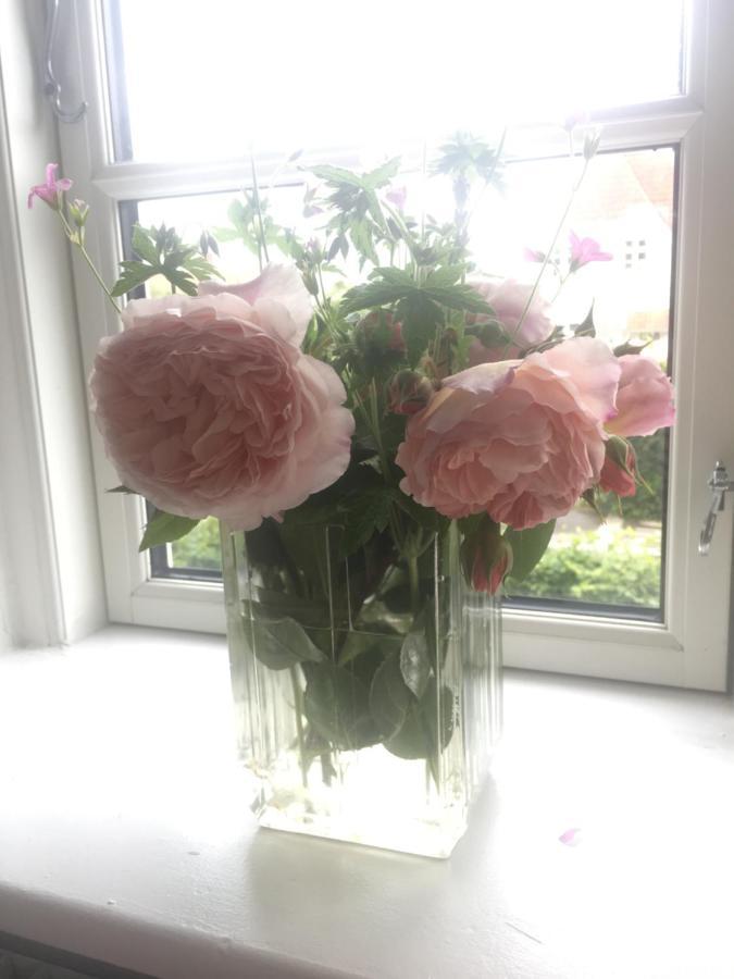 Bnb Thuroe Svendborg község Kültér fotó
